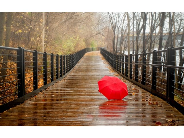 1 Fa Dragoste 10 Idei Pentru Zile Ploioase