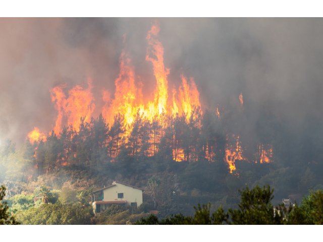 Incendii devastatoare în Thassos. MAE îndeamnă românii să evite zona