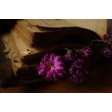 30+ Poezii și versuri de dragoste pe care merită să le citești