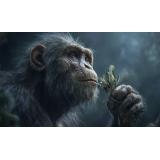 Cum arăta Lucy, strămoașa tuturor oamenilor: Fosila de Australopithecus care rescrie tot ce credeam despre originile noastre