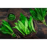 Pesto cu leurdă &ndash; energia verde a primăverii &icirc;ntr-o rețetă simplă și hrănitoare