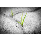 20 de citate motivaționale - cele mai puternice citate motivaționale care &icirc;ți dau &icirc;ncredere și &icirc;ți schimbă viața