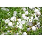 21 de județe sub avertizare cod galben de vreme severă. ANM: ploi torențiale, grindină și vijelii p&acirc;nă miercuri dimineață