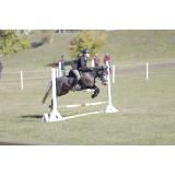 Karpatia Horse Show 2022: șapte premii pentru Rom&acirc;nia, 15 mii de spectatori și o atmosferă chic!