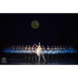 &bdquo;La Traviata&rdquo;, &bdquo;Turandot&rdquo; și &bdquo;Lacul lebedelor&rdquo; și un musical pentru copii, la final de februarie pe scena Operei Naționale București