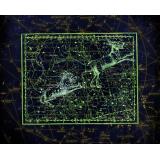 8 august, zi divină &icirc;n cosmos. Se deschide portalul Leului și ne aliniem la destinul nostru