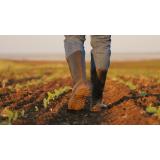 Agricultura regenerativă: cum poți avea o fermă de succes protej&acirc;nd &icirc;n același timp solul și mediul