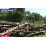 Camion cu lemne pentru școală, descărcat la pensiunea directorului. Ce explicație le-a dat bărbatul polițiștilor