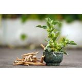 Ce este ashwagandha și ce beneficii oferă?