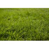 Cum alegi mașina de tuns iarba &ndash; 3 sfaturi