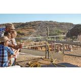 Cum să alegi pompa de apă potrivită pentru nevoile tale