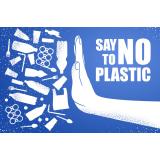 Impactul plasticului asupra ecosistemelor: de ce trebuie să acționăm acum?