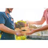 Importanța agriculturii &icirc;n economia locală