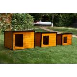 &Icirc;ngrijirea c&acirc;inilor vara: Sfaturi esențiale pentru sănătatea patrupedului tău