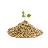 Nu cumpăra o centrală pe peleți p&acirc;nă nu citești acest ghid esențial!