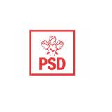 PSD susține acțiunea ministrului Sănătății care a &icirc;njumătățit banii de consultanță din PNRR