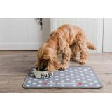 Accesorii pentru c&acirc;ini: sfaturi pentru a le alege c&acirc;t mai bine!