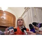 Elena Udrea, mesaj din pușcărie &icirc;nainte de campania electorală: &bdquo;O soluție pragmatică ar fi...&rdquo;