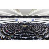 S-a stabilit c&acirc;nd vor avea loc alegerile pentru Parlamentul European