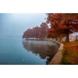 ANM: Cod galben de ceață densă &icirc;n localitățile din nouă județe