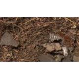 Armata a găsit noi bucăți de drone, l&acirc;ngă Tulcea. Zona a fost delimitată de jandarmi