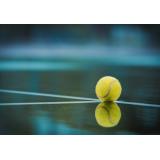 Ashleigh Barty, viața după tenis: fostul lider mondial a devenit mamă pentru prima dată