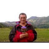 Autoritățile hunedorene, acuzate că știau ce se &icirc;nt&acirc;mplă cu &bdquo;Copiii Soarelui&rdquo;.  &bdquo;Să nu mă facă să vorbesc lucruri&rdquo; 