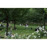 Situația epidemiologică COVID-19 din Rom&acirc;nia &icirc;n ultimele 24 de ore