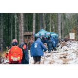 Maspex Romania prin brandul Bucovina a desfășurat cea de-a patra campanie de re&icirc;mpădurire  Protejăm Ținutul Echilibrului