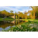 Ce e bine să știi dacă vrei să te muți &icirc;n Craiova