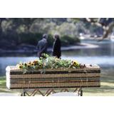 Ce servicii oferă o agenție funerară profesională și ce costuri implică acestea?