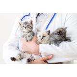 A fost deschis cel mai mare spital veterinar din Rom&acirc;nia. C&acirc;t costă serviciile unității medicale