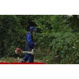 Cosași bengalezii &icirc;n Galați; nu s-au găsit rom&acirc;ni pentru a tăia iarba. Ce salariu primesc muncitorii din Bangladesh 