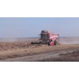 INS anunță o creștere a exporturilor de cereale din Rom&acirc;nia: 2 miliarde de euro &icirc;n primele 5 luni din 2022