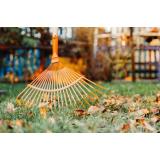 Cum pregătești gradina pentru iarna - sfaturi și recomandări