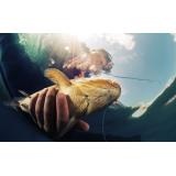 Cum se face corect o montură pentru crap?