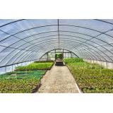 De ce produse avem nevoie pentru a obține recolte bogate &icirc;n propria grădină?