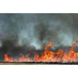 Incendiu de proporții &icirc;n Delta Dunării. Pompierii nu pot interveni