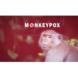 Europa a &icirc;nregistrat primele decese la pacienți infectați cu variola maimuței