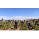 Fermierii chinezi, forțați să &icirc;și distrugă recoltele pentru a preveni răsp&acirc;ndirea pandemiei de COVID-19. Această distrugere riscă să majoreze preţurile la alimente