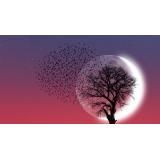 Luna Noua &icirc;n Berbec: Ritual de vindecare a sufletelor rănite