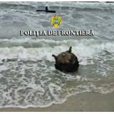 VIDEO O mină marină a fost găsită &icirc;n zona localității Sf&acirc;ntul Gheorghe