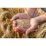 Daea: &bdquo;Am &icirc;ncheiat recoltatul gr&acirc;ului &icirc;n Rom&acirc;nia. Cu siguranță o să avem p&acirc;ine&rdquo;