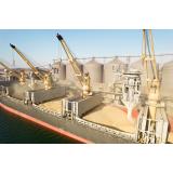 VIDEO Prima navă cu cereale din Ucraina a plecat din portul Odesa