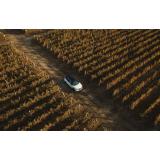 De veghe &icirc;n lanul de... viță de vie: &Icirc;n căutarea apusului perfect cu Nissan Qashqai e-Power