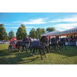 Un număr record de călăreți și cai &icirc;nscriși la Karpatia Horse Show 2023 