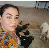 Oana Roman a răbufnit &icirc;n fața tuturor. Cum a reușit o internaută să o scoată din sărite pe partenera lui Marius Elisei: &bdquo;Foame &icirc;n g&acirc;t&rdquo;