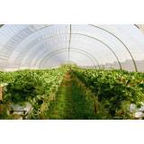 Obține producții agricole mai mari cu o seră profesională