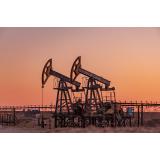 OPEC scade producția de petrol pentru a crește prețul 