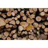 Ordonanța care plafonează prețul lemnelor de foc, adoptată tacit de Senat. Urmează să ajungă la Camera Deputaților 